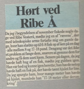 Hørt ved Ribe å