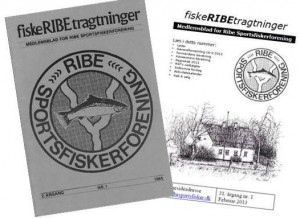 RSF Fiskeribetragtninger