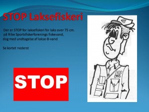 STOP Laksefiskeri over 75 cm