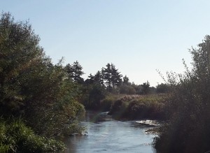 Foto fra Gels Å ved Enderupskov