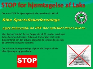 STOP for alle laks på RSF fiskevand..