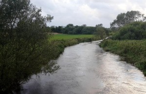 Motiv fra Ribe Å nedstrøms Stavnagerbro august 2017