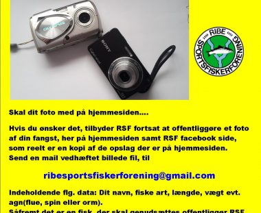 Skal dit foto med på hjemmesiden….