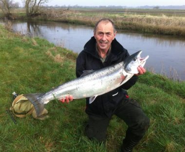 Johannes Schlüter, Laks 102 cm 11.2 kg