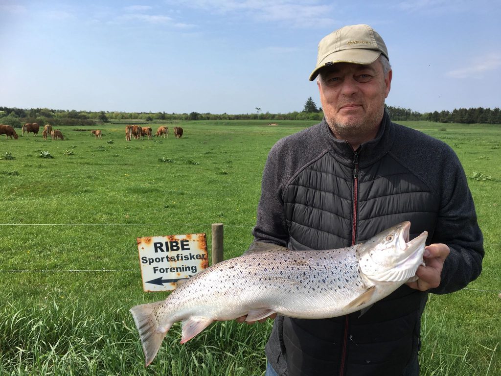 Stig Guldborg Havørred 69 cm 3.9 kg