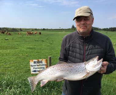 Stig Guldborg Havørred 69 cm 3.9 kg