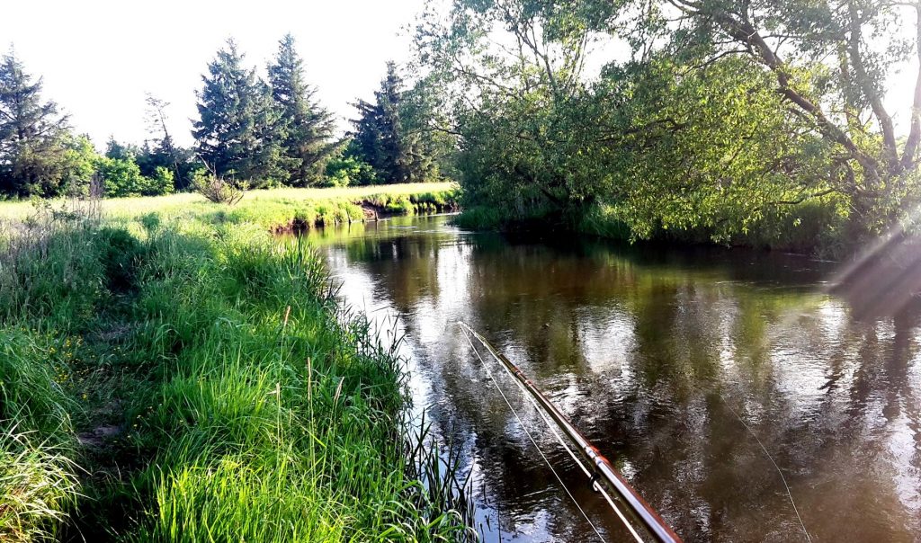 Ribe å ved savværket 23. maj 2018