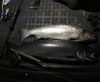 Sindsyg aften/nat/morgen fiskeri