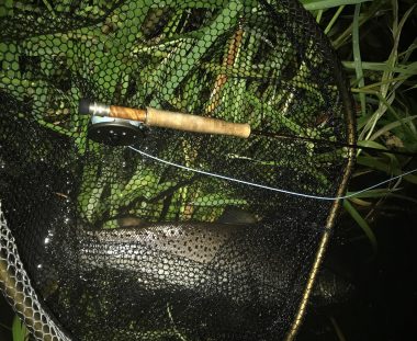 65 cm Catch & Release