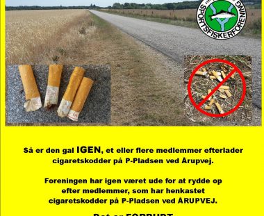 Henkastning af cigaretskodder