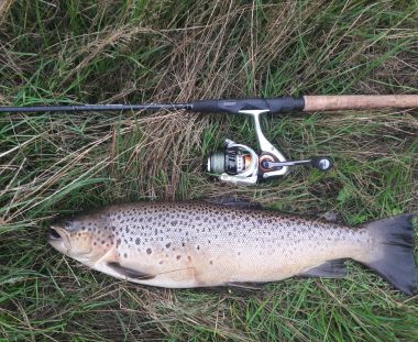 Martin Lausen havørred 61 cm og 2.6 kg