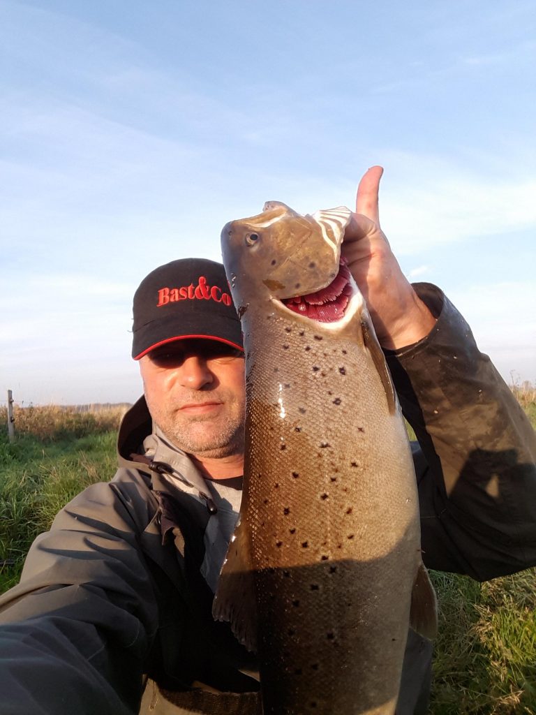 Martin's havørred fra Hjortvad å 62 cm 2.6 kg