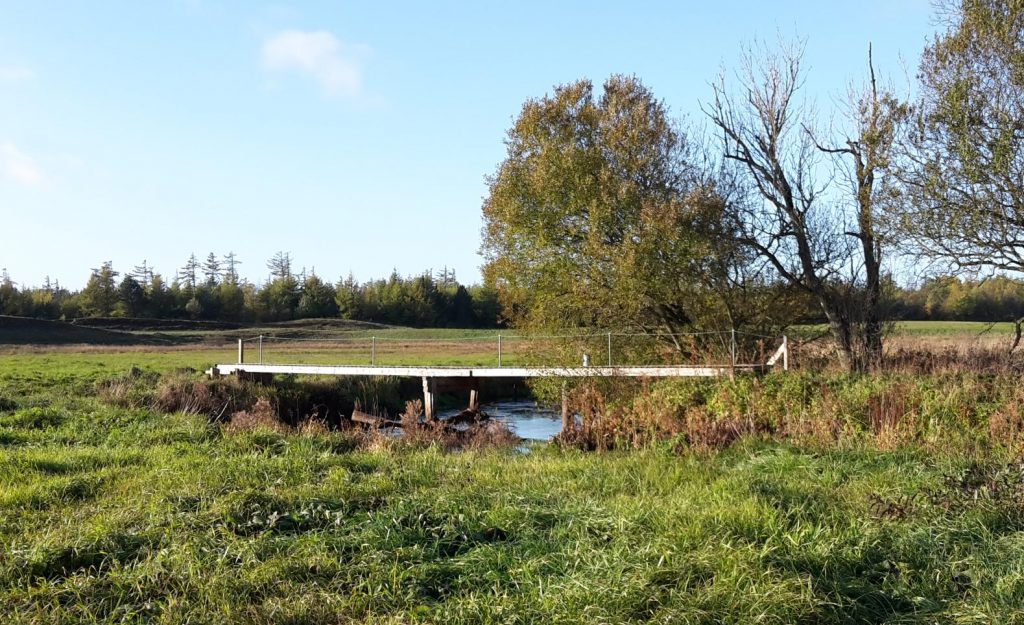 Ødegårds broen, hvor det kan ses at træet spærre 3/4 af vandløbet og vandpresset ville blive endnu større ved højere vandstand