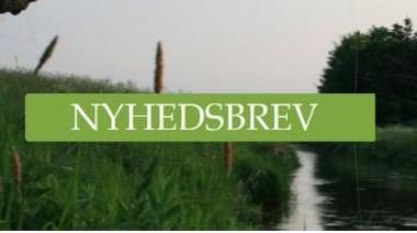 Nyhedsbrev fra Gelsåsammenslutningen af 1976