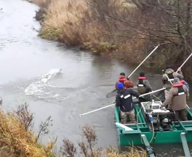 Søndagens el-fiskeri, forløb fint.