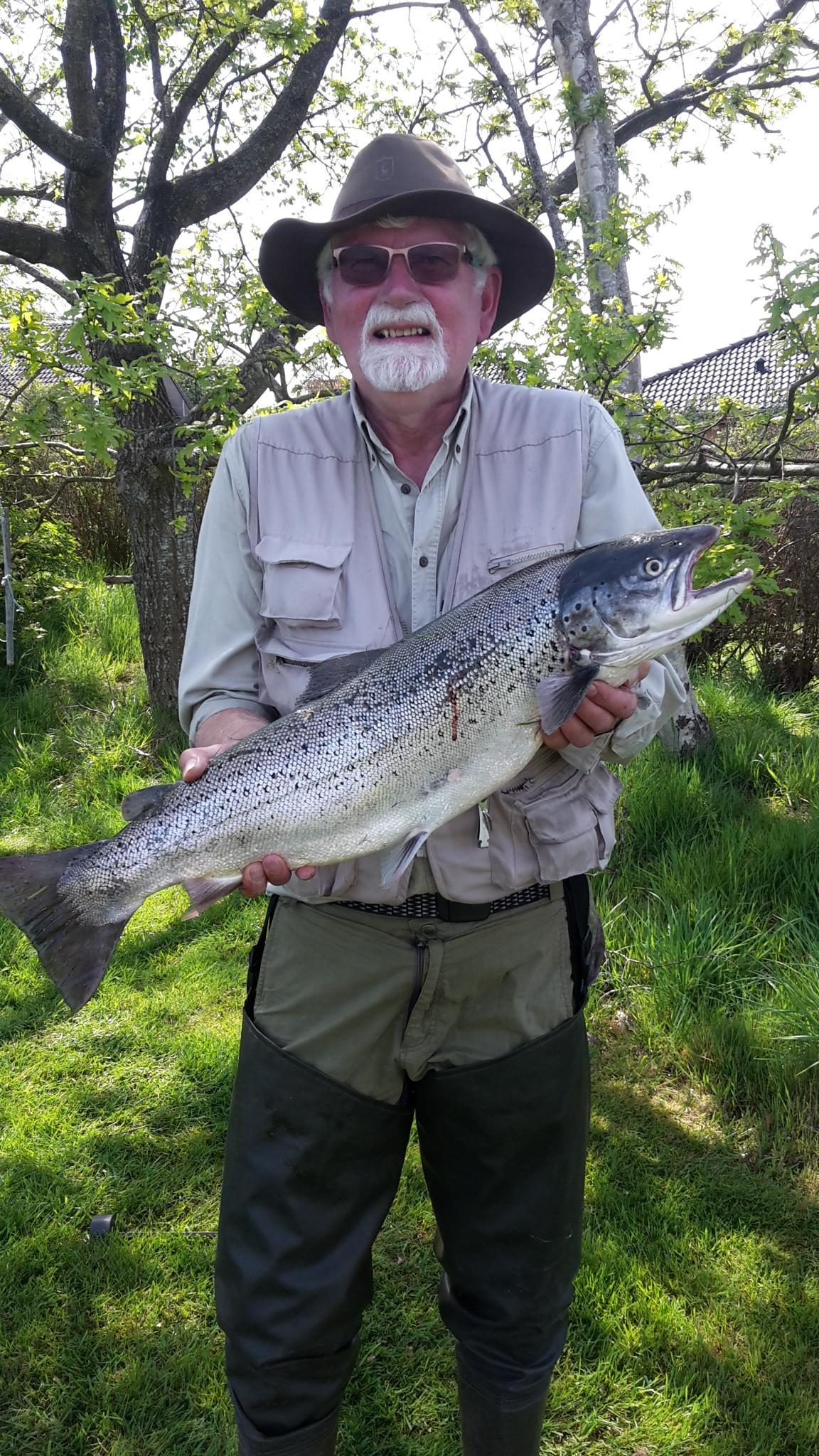 Eri Erbs med en flot maj springer fanget på Rooster tail spinner i Gels å