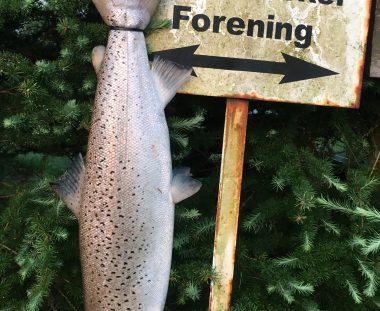 Dennis Hynkemejer Havørred 79 cm 6.4 kg