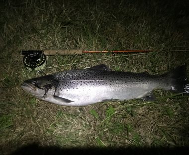 Sindssygt nat med River Eel’n