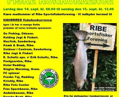 FISKE KONKURRENCE