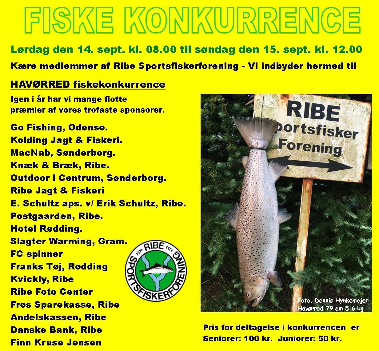 FISKE KONKURRENCE Ribe