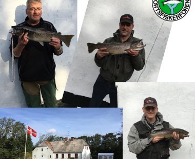 Havørred fiskekonkurrence 2019