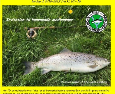 Ribe Sportsfiskerforening inviterer til ”guide dag” for kommende medlemmer