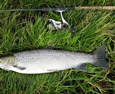 Martin Gude havørred 57 cm 2.1 kg