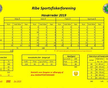 Fangststatistik for havørreder 2019