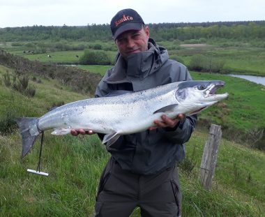 Martin Gude Laks 95 cm 7,5 kg
