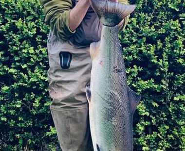 Dennis Hynkemejer Laks 104 cm 11.5 kg