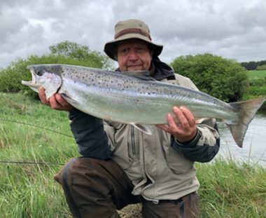 Ole Veltz Laks 75 cm