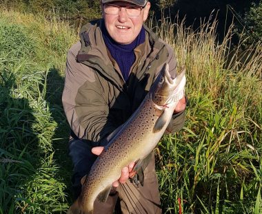 Arling Feddersen Havørred 61 cm 2,4 kg