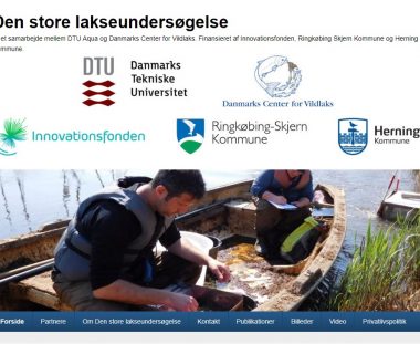 Lidt fra konferencen om “Den store lakseundersøgelse”