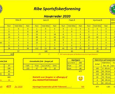 Fangststatistik for havørreder 2020