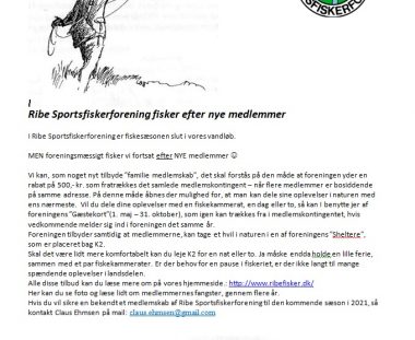 Ribe Sportsfiskerforening fisker efter nye medlemmer