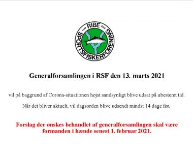 Generalforsamling i RSF 2021