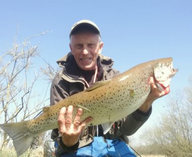 Dres Lassen’s flotte havørred på 76,5 cm 5,75 kg