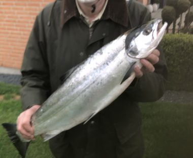 Erik Erbs sølvblanke laks på 75 cm vægt 4.75 kg