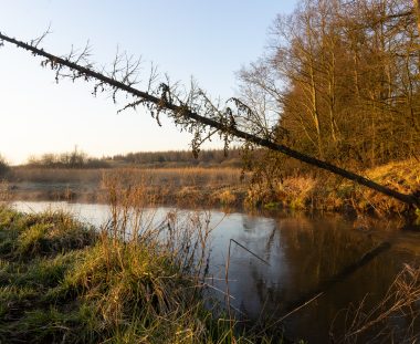 Husk “SENIOR FISKERI” tirsdag den 15. juni