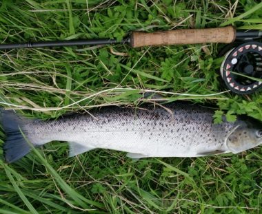 Ole Veltz, havørred 54 cm 2,3 kg.