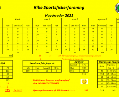 Fangststatistik for havørreder 2021