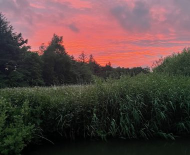 RSF havørred konkurrence 18. – 19. juni