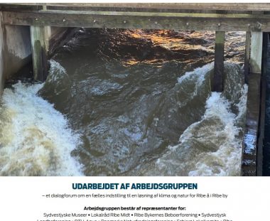 Anbefalinger til klimatilpasning af RIBE by