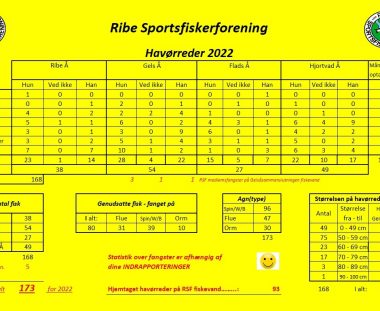 Fangstatistik over havørred 2022 for RSF