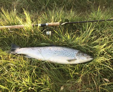 Mads Ørnbjerg havørred 60 cm 2.5 kg