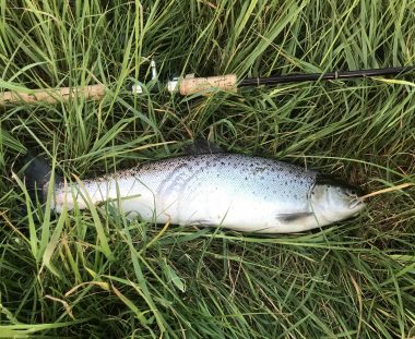 Mads Ørnbjerg Havørred 59 cm 2.5 kg