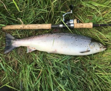 Mads Ørnbjerg Havørred 61 cm 2.6 kg
