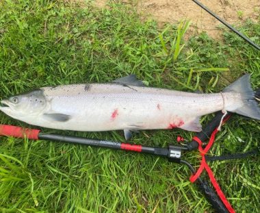 Jørgen Gaarde, Laks 72 cm 3.6 kg