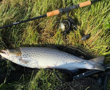 Jan Tonnesen Havørred 55 cm 2,2 kg
