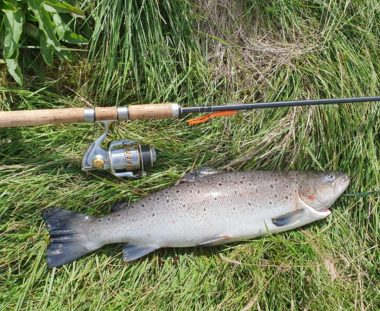 Björn Neitzel havørred 64 cm 3,2 kg